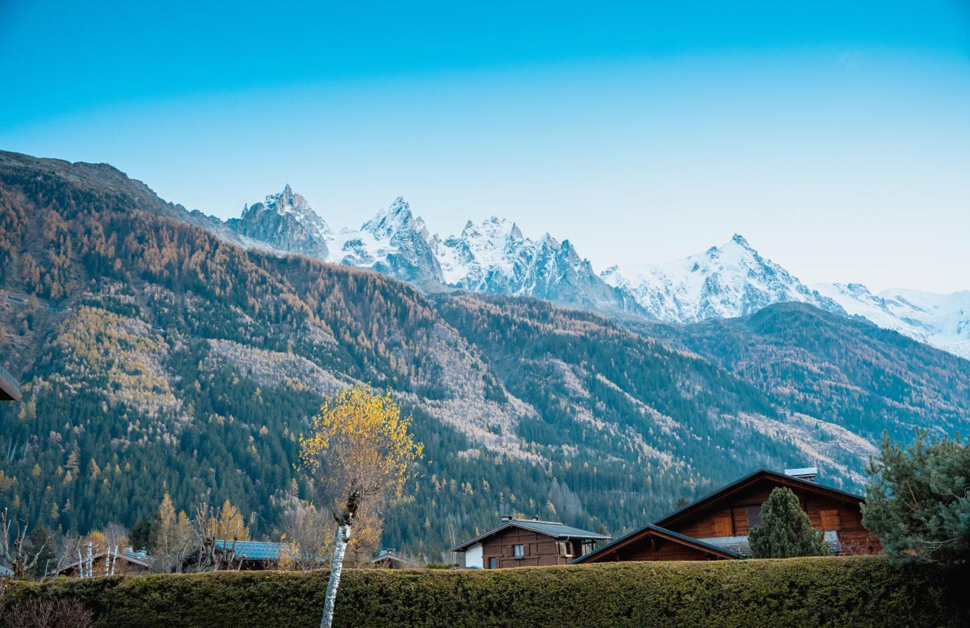 Appartamento La Pagode, Vue Mont-blanc Et Jardin Prive